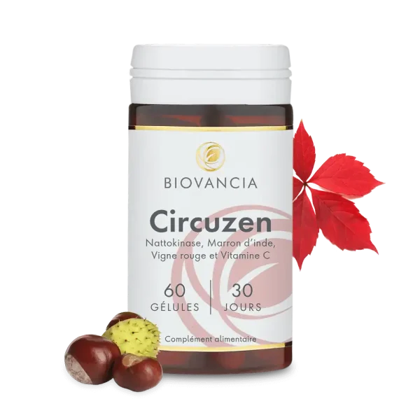 Circuzen