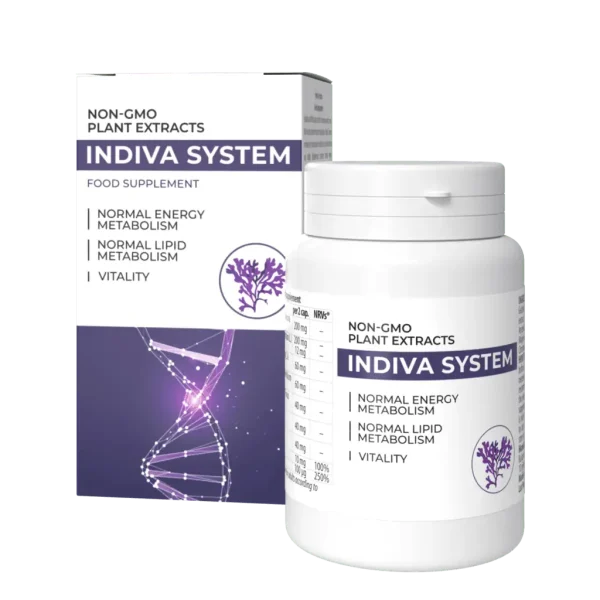 InDiva System
